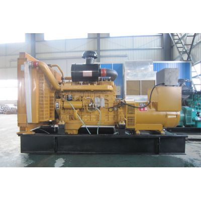 300kw上柴正新柴油發(fā)電機(jī)組-上柴正新6缸柴油機(jī)G128ZLD11柴油發(fā)電機(jī)組,缸徑/行程：135/150mm,柴油發(fā)電機(jī)組水冷發(fā)動(dòng)機(jī)功率306KW,柴油發(fā)電機(jī)組配套馬拉松斯坦福發(fā)電機(jī)。廠價(jià)直銷歡迎選購(gòu)：13773399855。